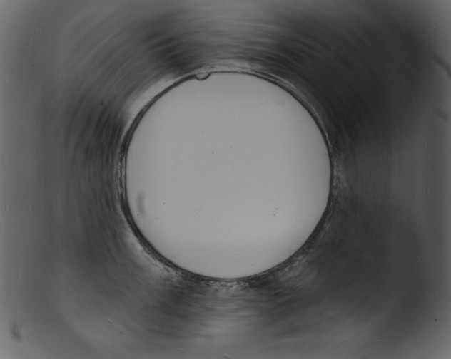 X0000103301003200809261309