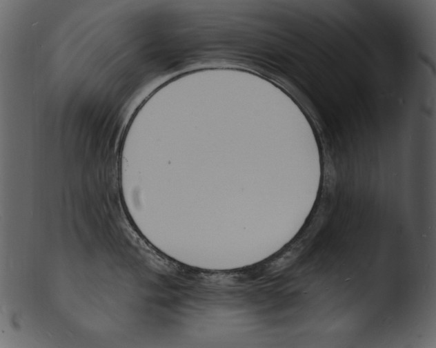 X0000103301004200809261309