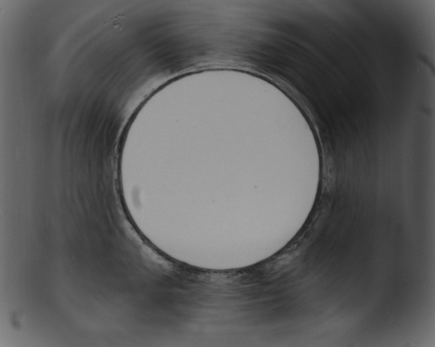 X0000103301005200809261309
