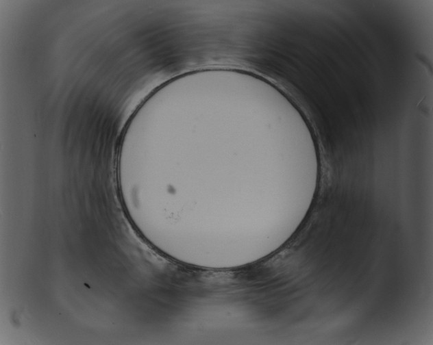 X0000103301006200809261309