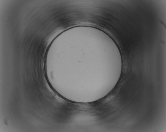 X0000103301007200809261309