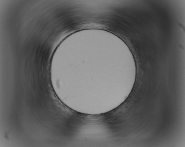 X0000103301008200809261309