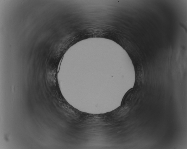 X0000103301010200809261308