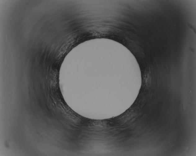 X0000103301012200809261308