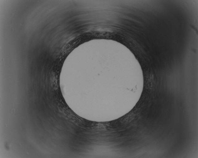 X0000103301013200809261308