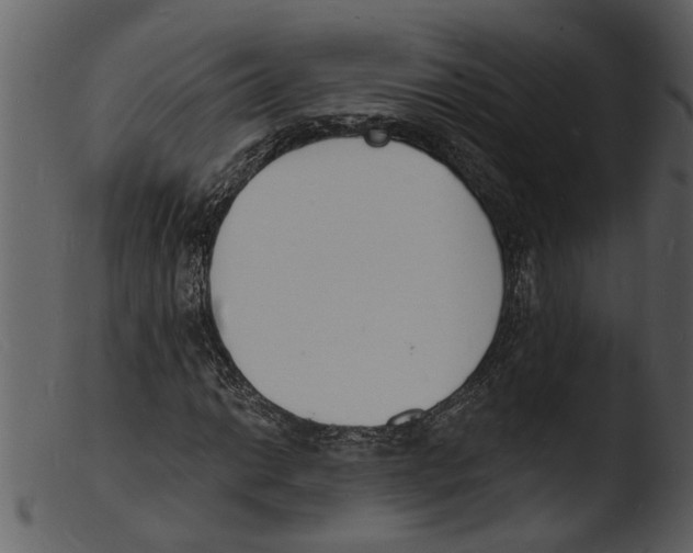 X0000103301014200809261308