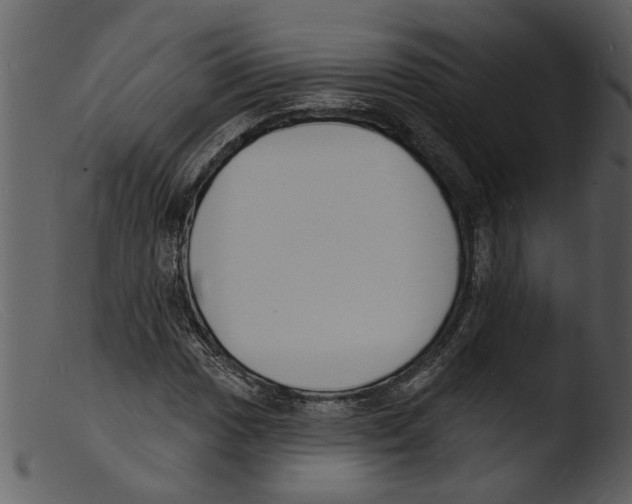 X0000103301017200809261308