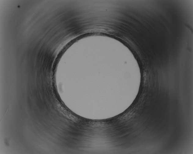 X0000103301020200809261308