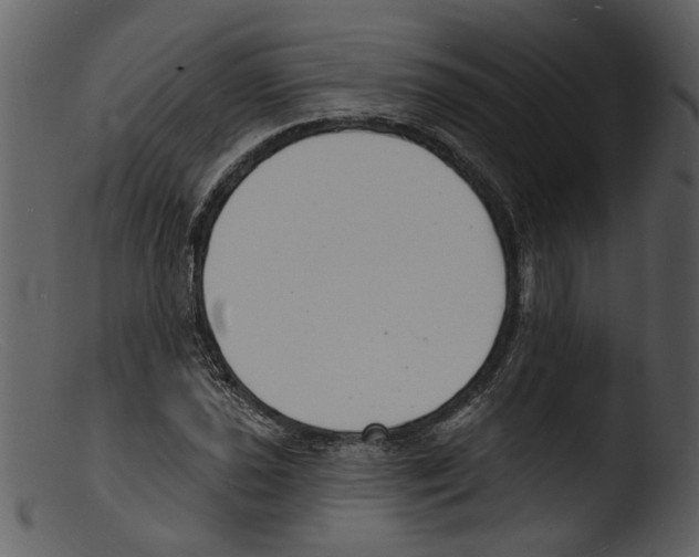 X0000103301021200809261308