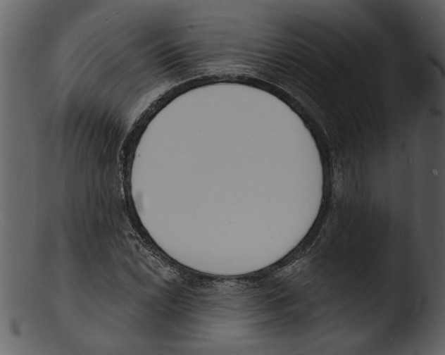 X0000103301022200809261308
