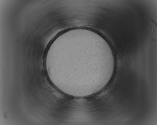 X0000103301023200809261308