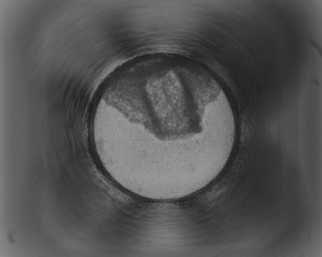 X0000103301024200809261308
