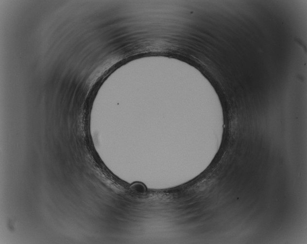 X0000103301026200809261309