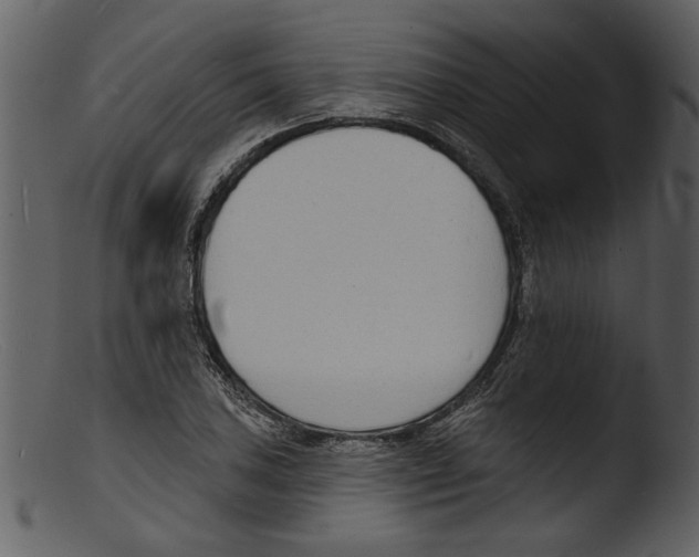 X0000103301027200809261309