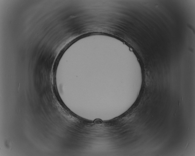 X0000103301028200809261309