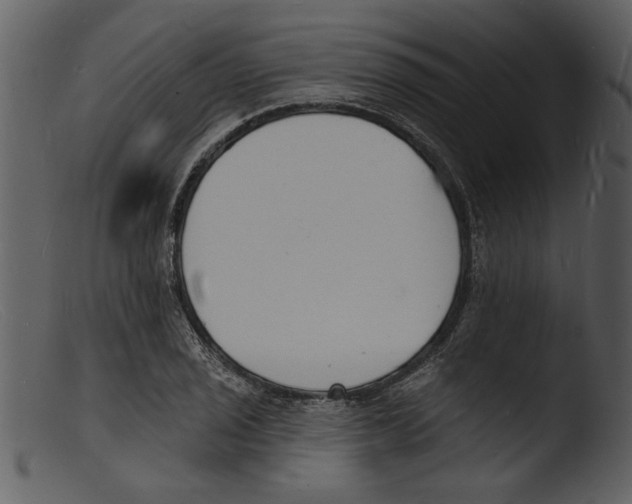 X0000103301029200809261309