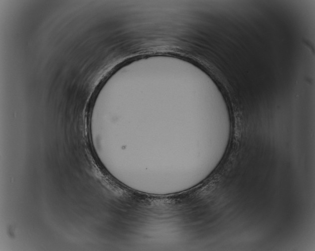 X0000103301031200809261309