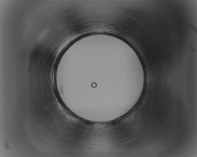 X0000103301032200809261309