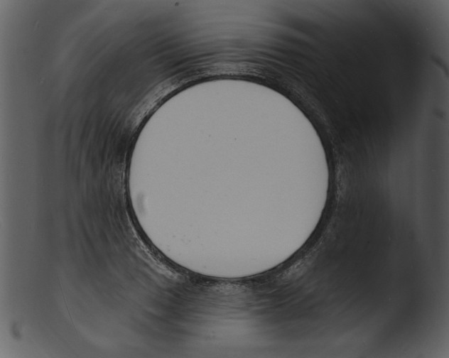 X0000103301033200809261309