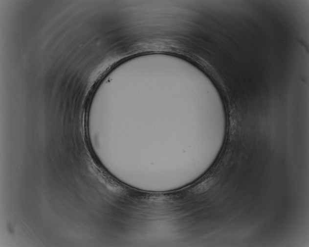 X0000103301035200809261309