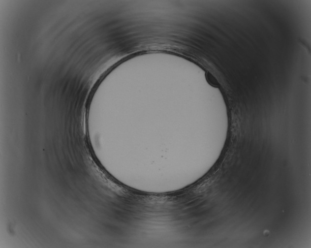 X0000103301036200809261309