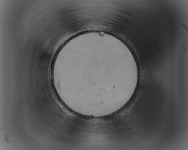 X0000103301037200809261309