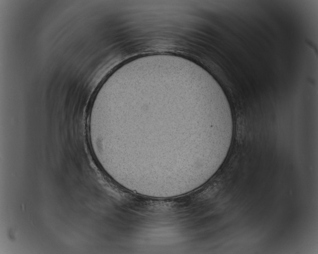 X0000103301039200809261309