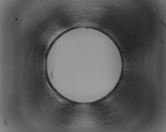 X0000103301040200809261309