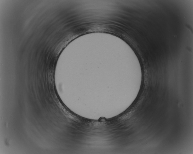 X0000103301041200809261309