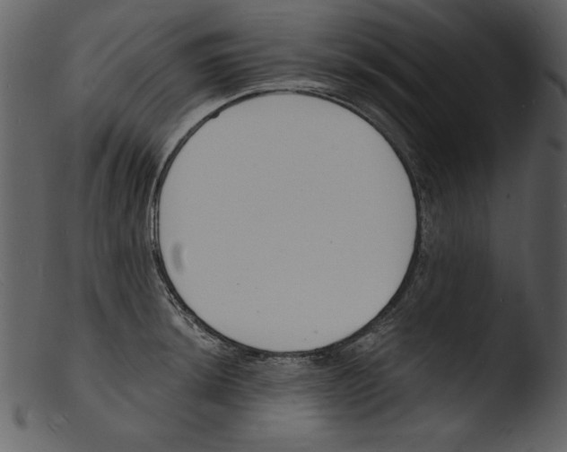 X0000103301044200809261309