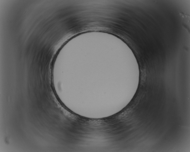X0000103301046200809261309