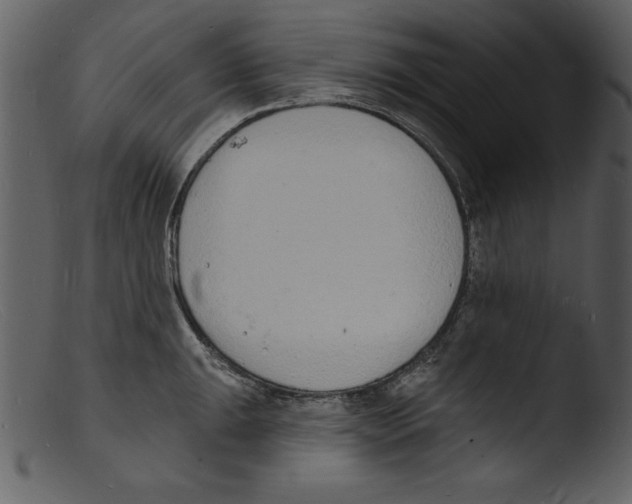 X0000103301047200809261309