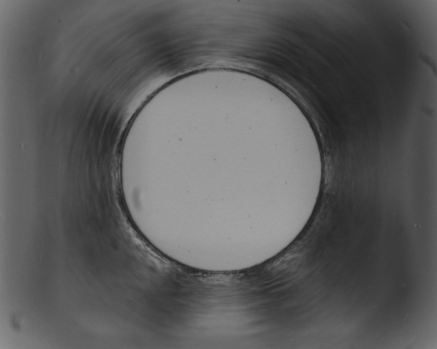 X0000103301048200809261309