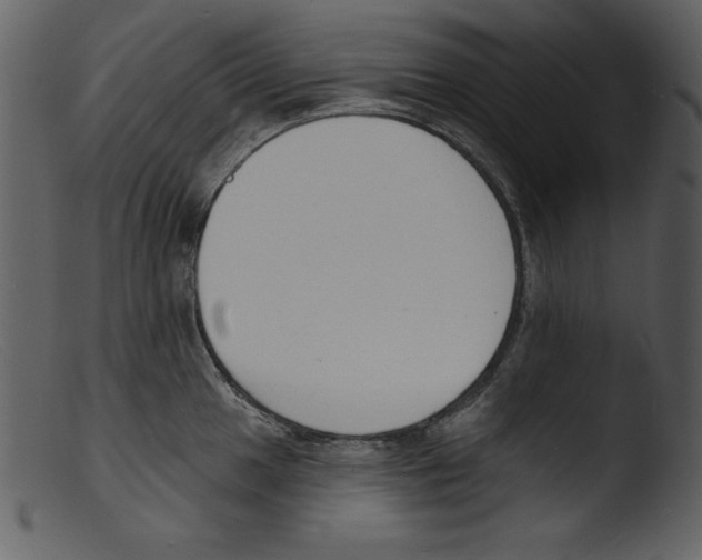 X0000103301049200809261309