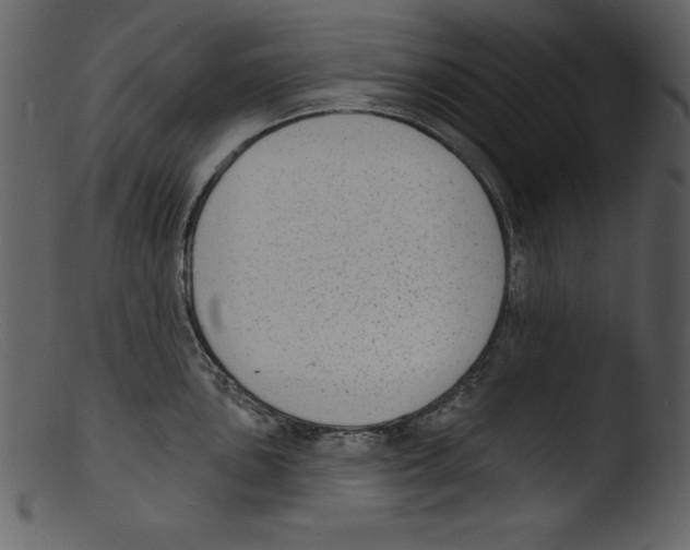 X0000103301051200809261309