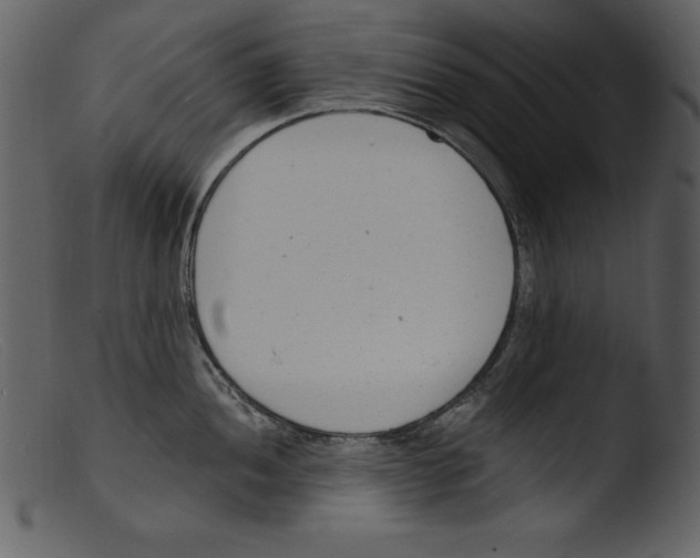 X0000103301052200809261309
