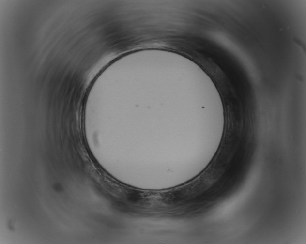 X0000103301054200809261309