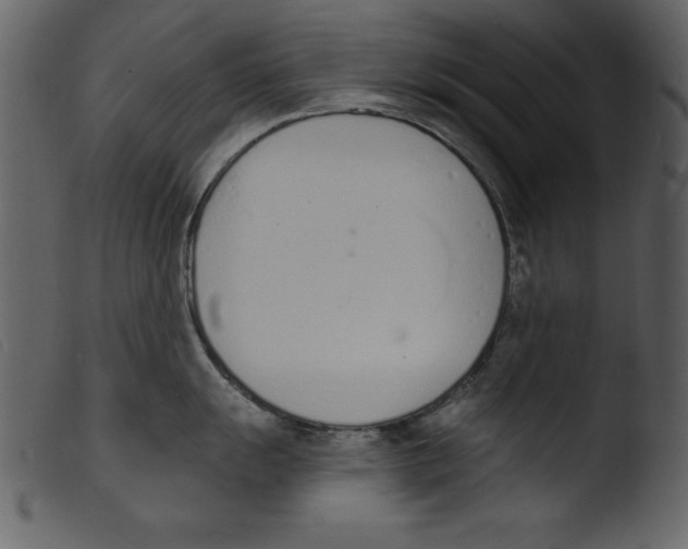 X0000103301055200809261309