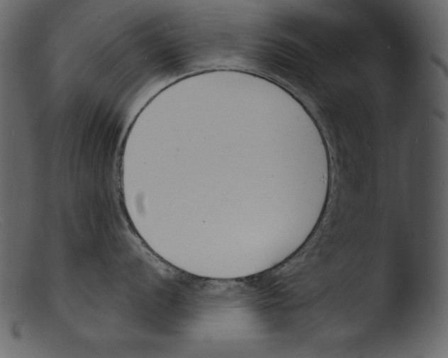 X0000103301056200809261309