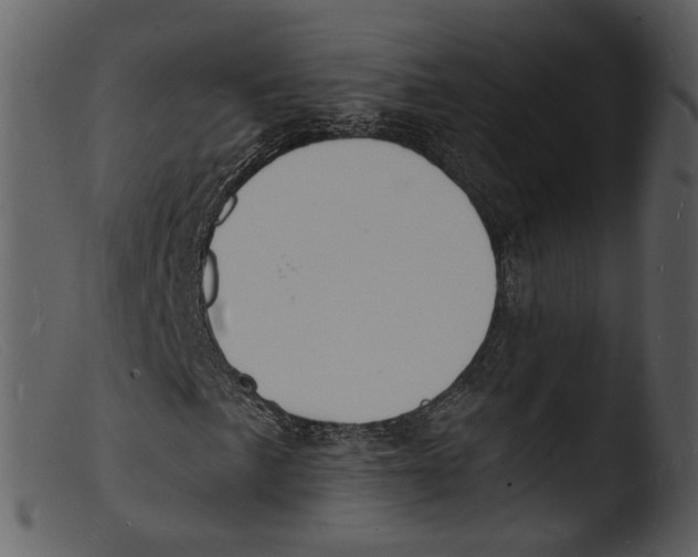X0000103301057200809261308