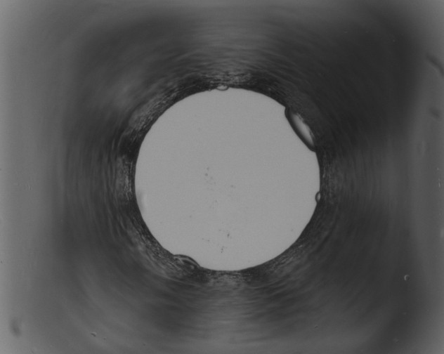 X0000103301058200809261308