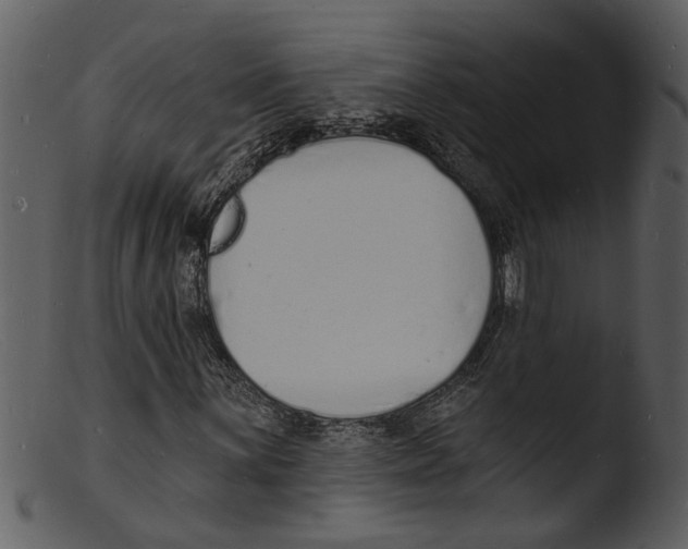 X0000103301059200809261308
