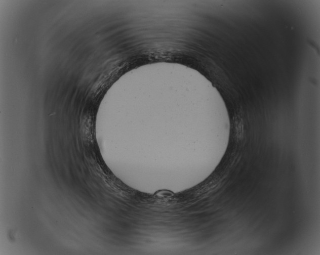 X0000103301060200809261308