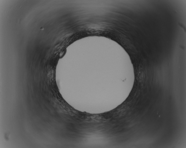 X0000103301061200809261308