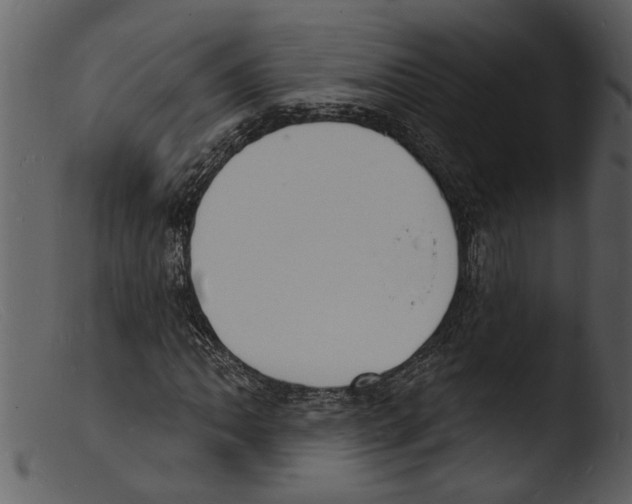 X0000103301062200809261308