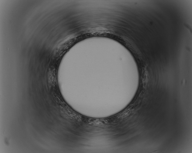 X0000103301063200809261308