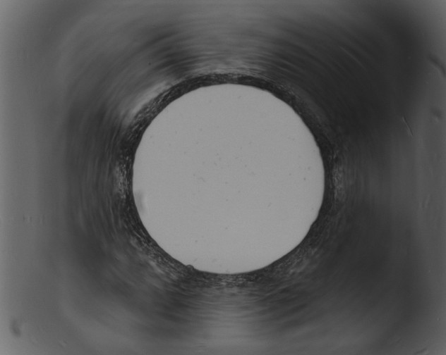 X0000103301064200809261308