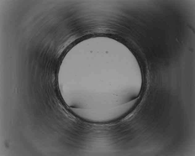 X0000103301065200809261308