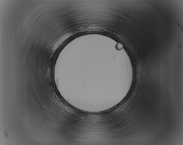 X0000103301066200809261308