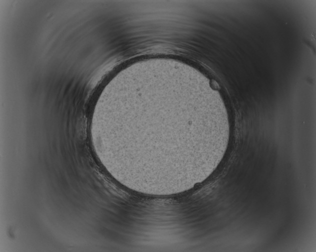 X0000103301067200809261308
